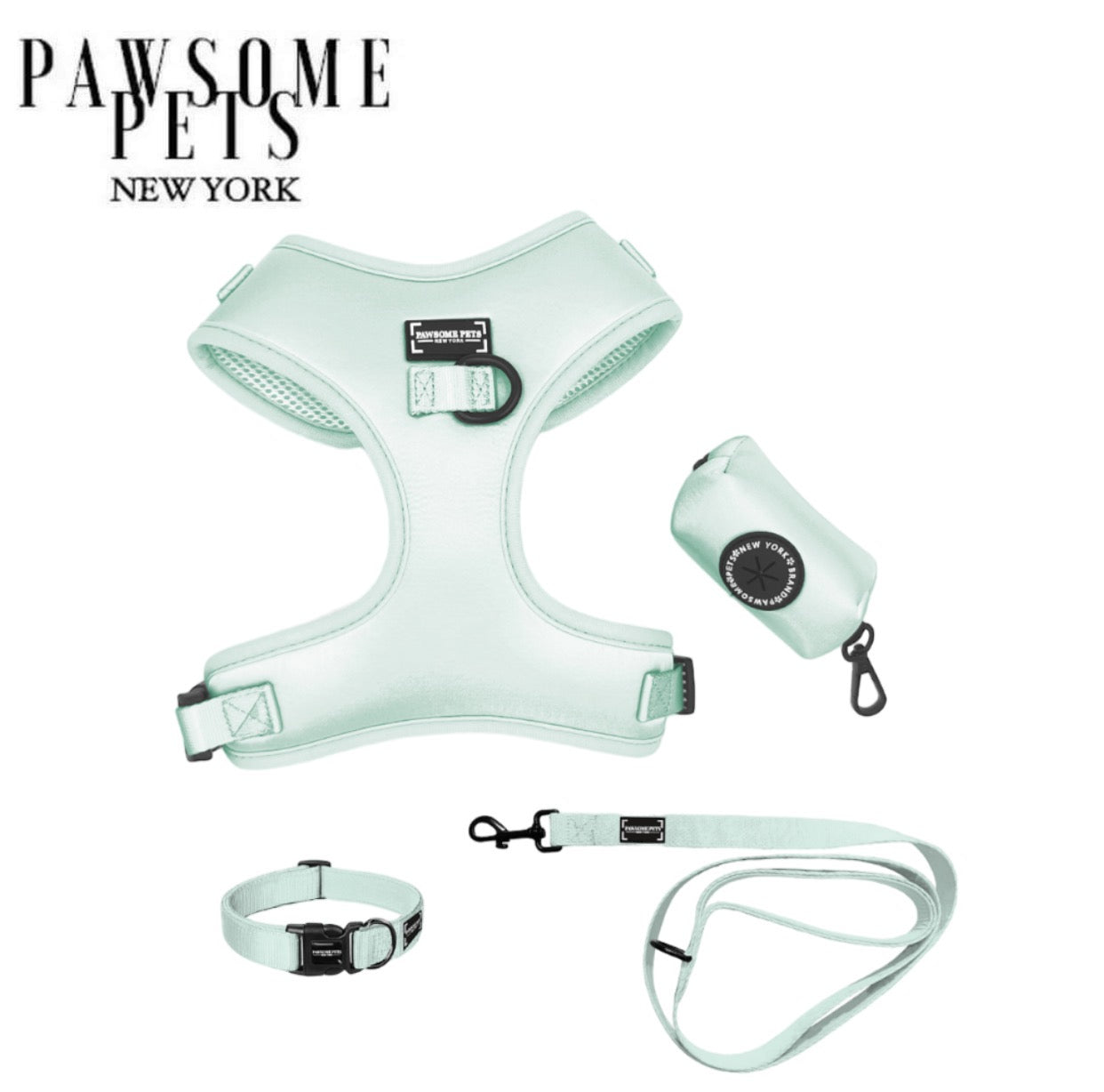 Mint Green Pawsome Pets pasivaikščiojimo rinkinys šuniui