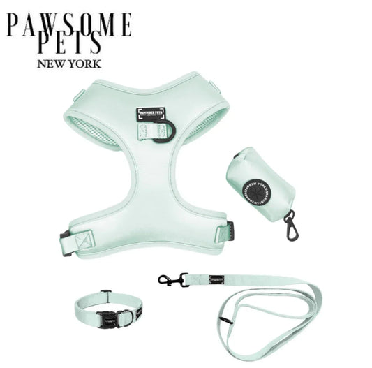 Mint Green Pawsome Pets pasivaikščiojimo rinkinys šuniui - Jaukuma